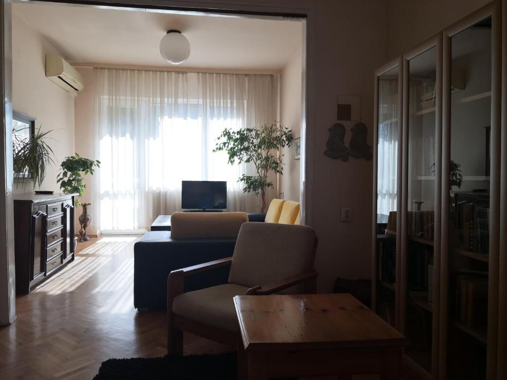 sala de estar con sofá y mesa en Maritza Apartment, en Plovdiv