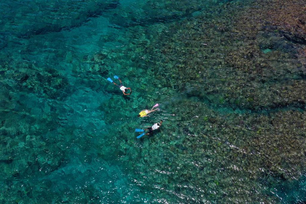 two people swimming in the water in the ocean at ANA InterContinental Manza Beach Resort by IHG in Onna