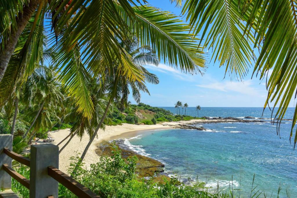 a beach with palm trees and the ocean at Eva Lanka Hotel - Beach & Wellness in Tangalle