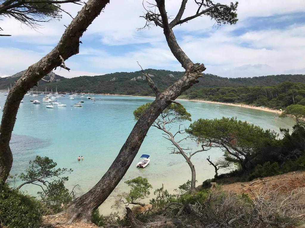 2 pièces avec grande terrasse - Centre de Toulon - 两居室公寓