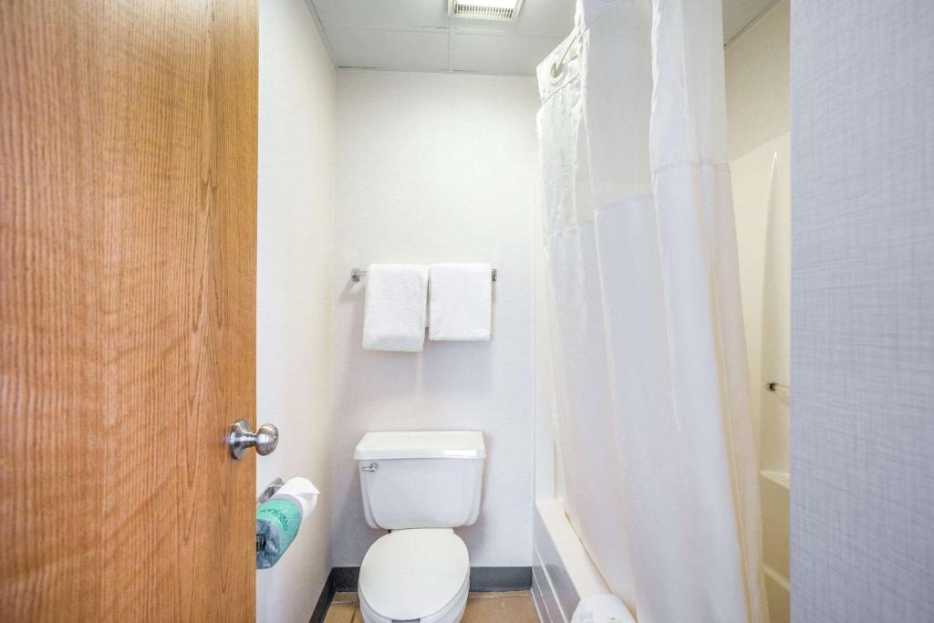 Quality Suites - King Suite