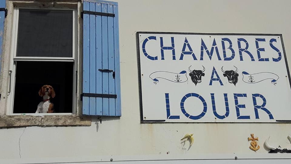 Foto sihtkohas Saintes-Maries-de-la-Mer asuva majutusasutuse Le Cocardier galeriist