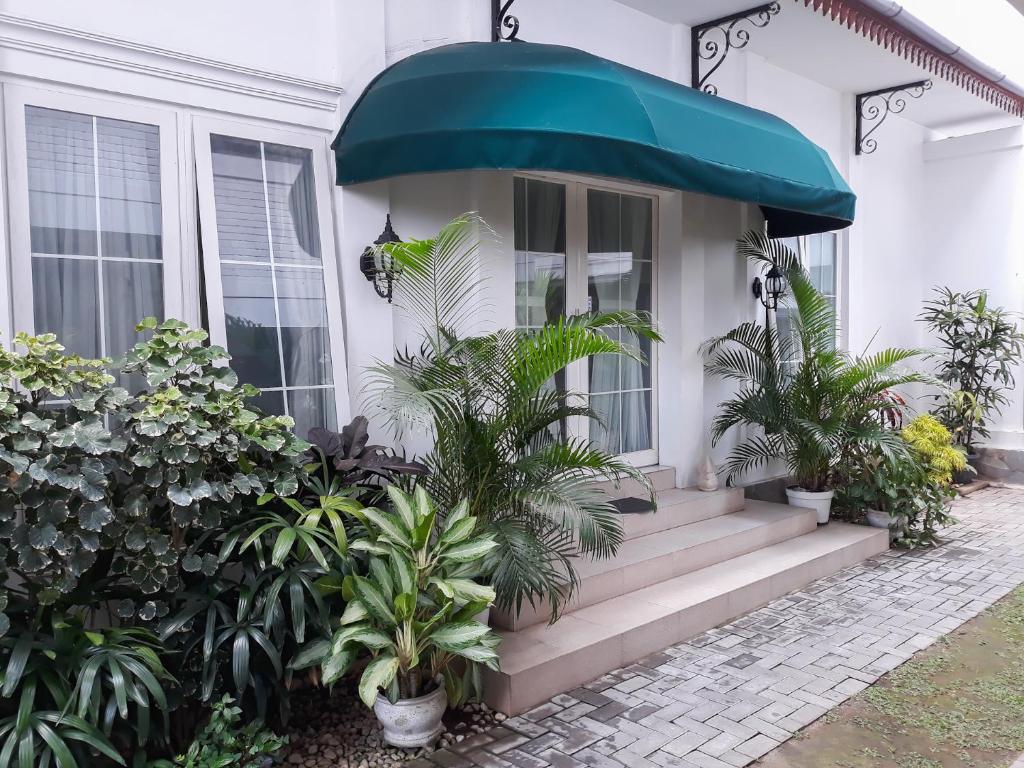 Surokarsan 9 House Yogyakarta في يوغياكارتا: منزل به مظلة زرقاء على شرفة مع النباتات