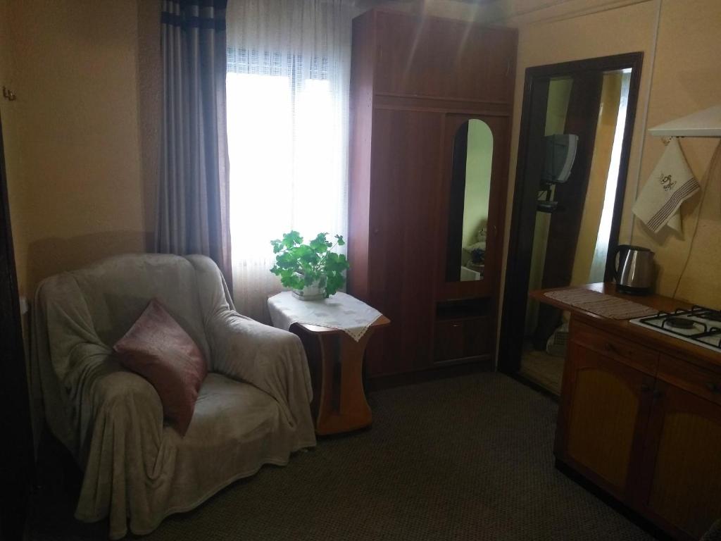 a room with a chair and a window and a mirror at Коттедж у Михайла  in Slavske