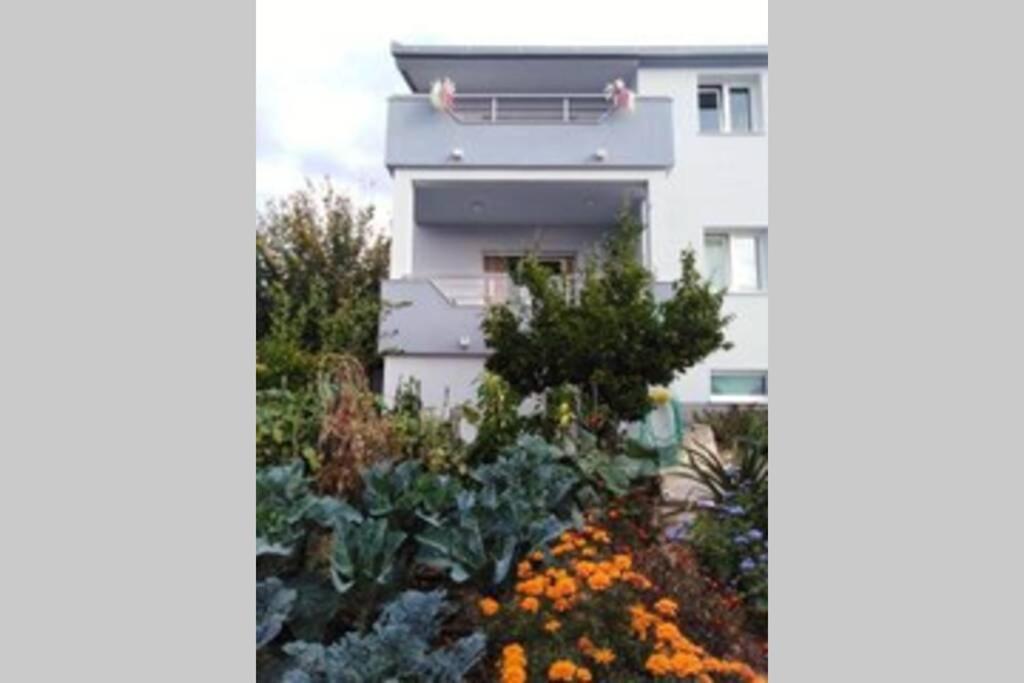 Vonkajšia záhrada v ubytovaní Family House Nino
