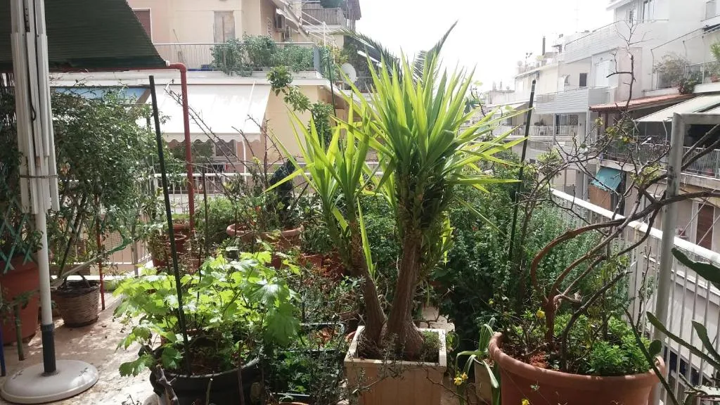 Family house 150m from. Acropolis, Athens, Greece