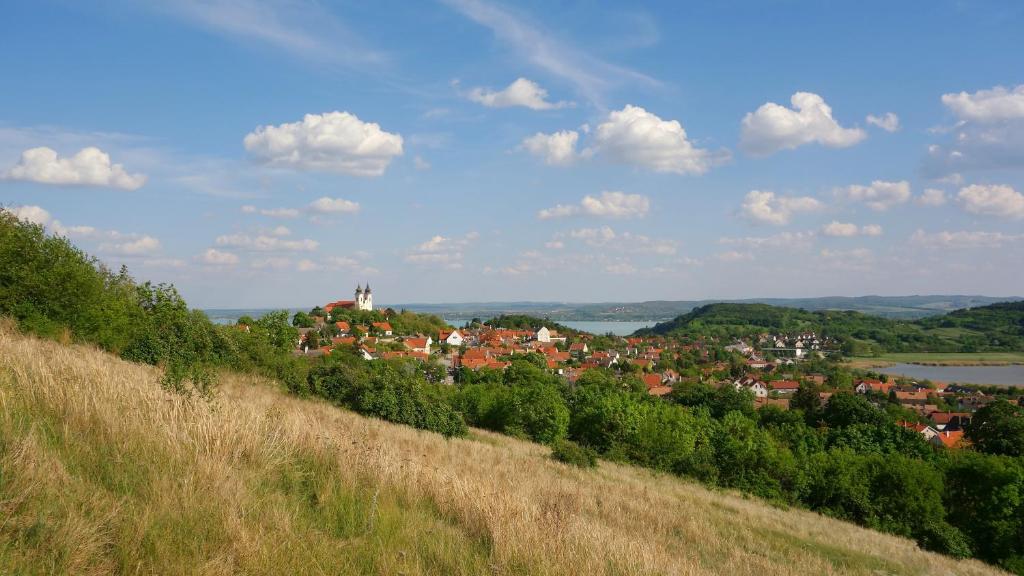 Příroda nedaleko penzionu