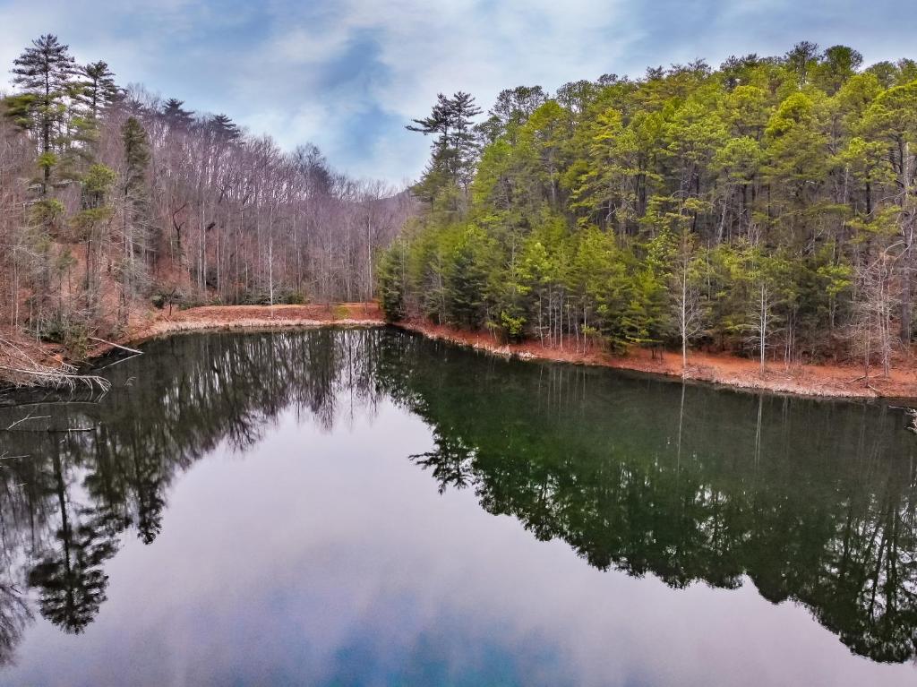 a view of a lake with trees in the background at Alpine Joy in Townsend