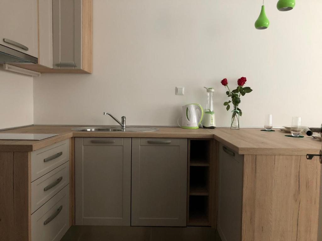 Kuchyňa alebo kuchynka v ubytovaní Studio apartment in center of Zagreb "Vidra"