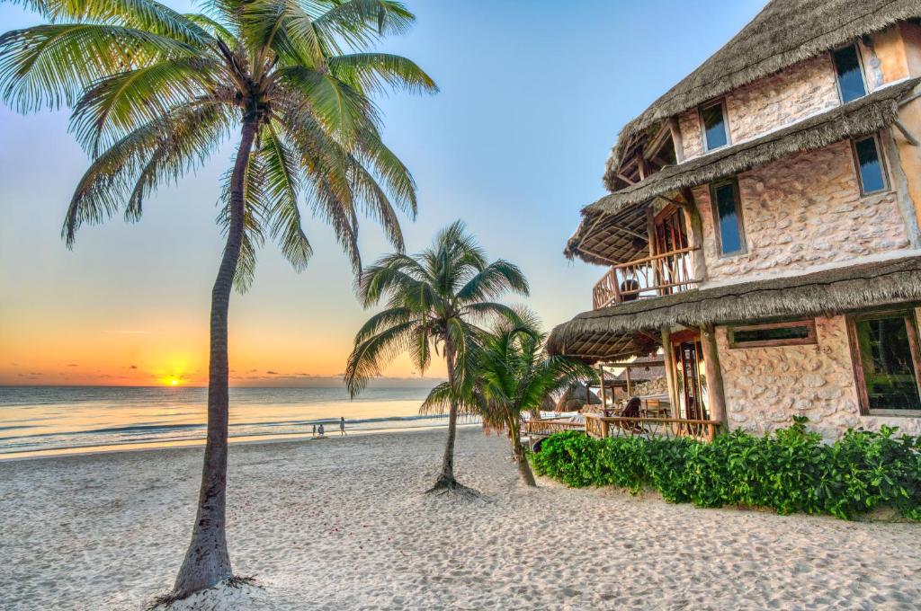 un hotel en la playa con palmeras en Alaya Tulum, en Tulum