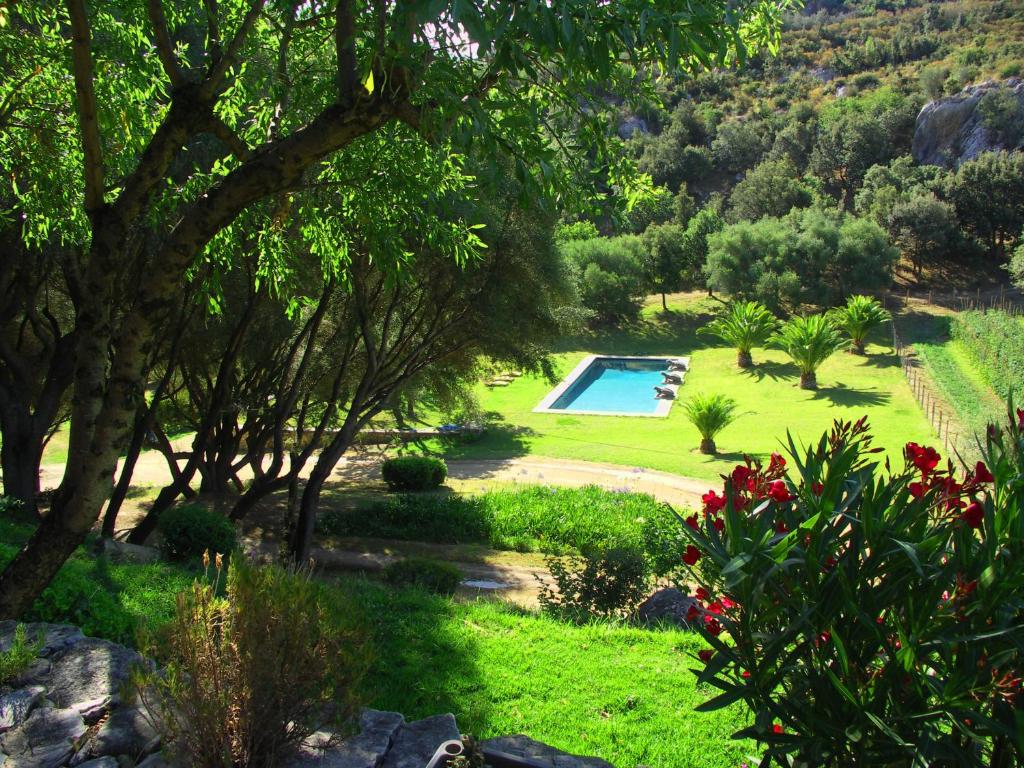 a view of a garden with a swimming pool at Domaine Panciarella in Saint-Florent