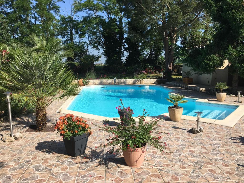 una piscina con macetas en un patio en Appartement mansardé et climatisé 50 m2, en Pompignan
