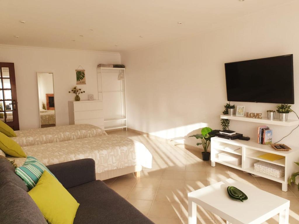 Телевизор и/или развлекательный центр в Sunny Setúbal Apartments