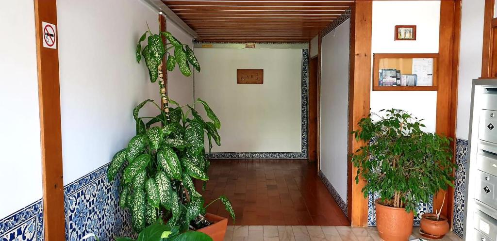 Фотография из галереи Sunny Setúbal Apartments в Сетубале