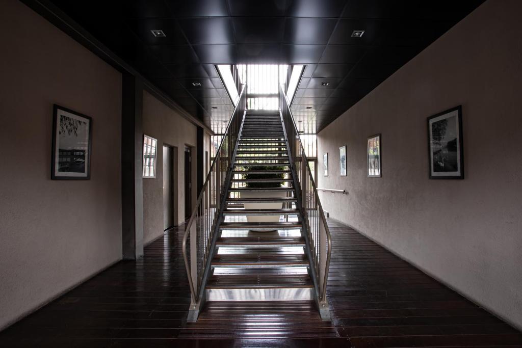 Adonis Lyon Dock Ouest - Resim 15