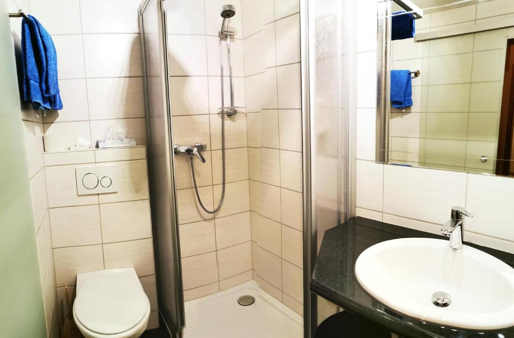 グレヘンにあるWohnung Alphaのバスルーム(シャワー、トイレ、シンク付)