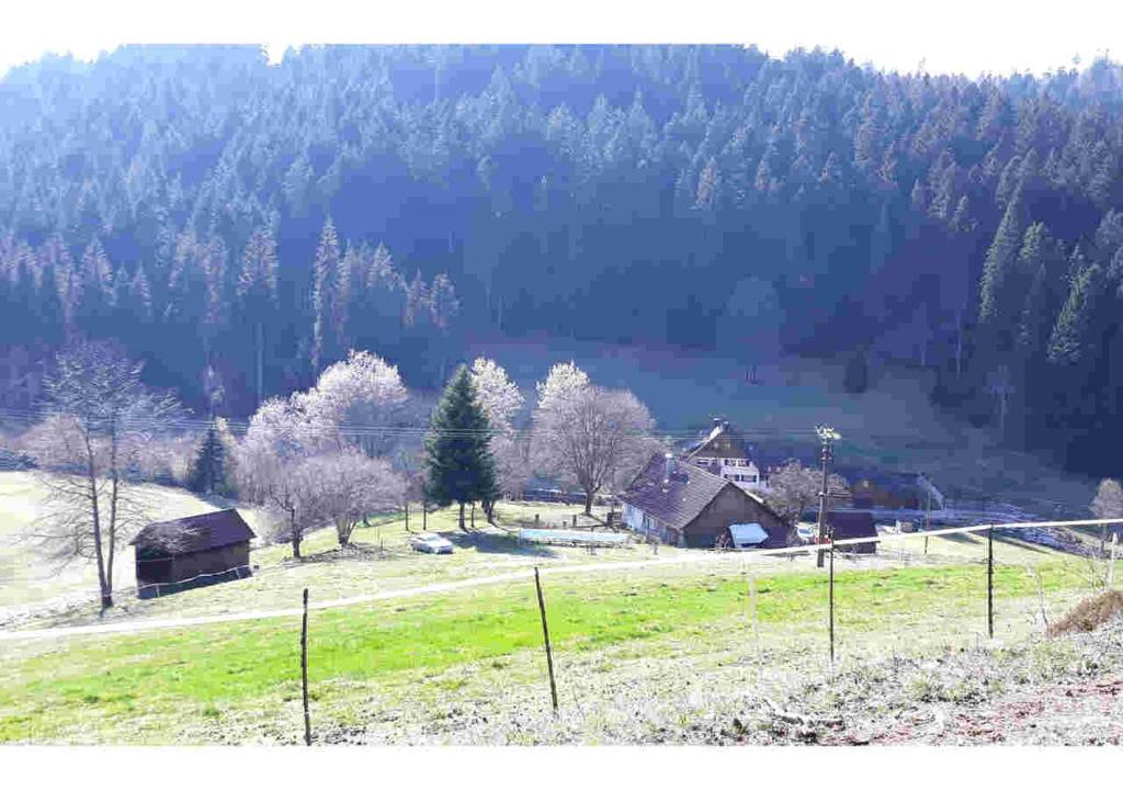 a field with houses and trees in the mountains at Ferienhaus Schwarzwald Seewald Erzgrube Badesee 100% Natur in Seewald