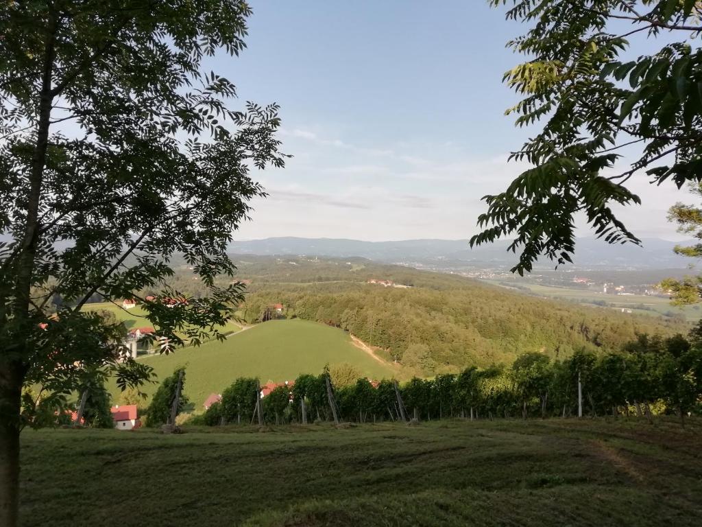 Příroda nedaleko prázdninového domu