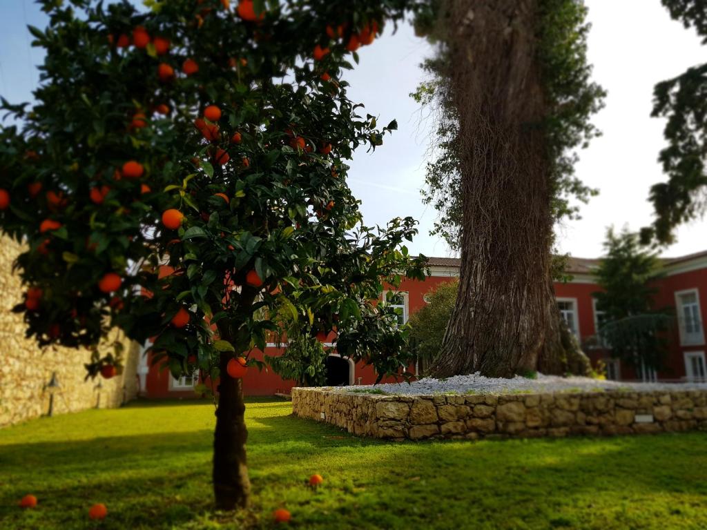 Jardin de l'établissement Palacio São Silvestre-Boutique Hotel