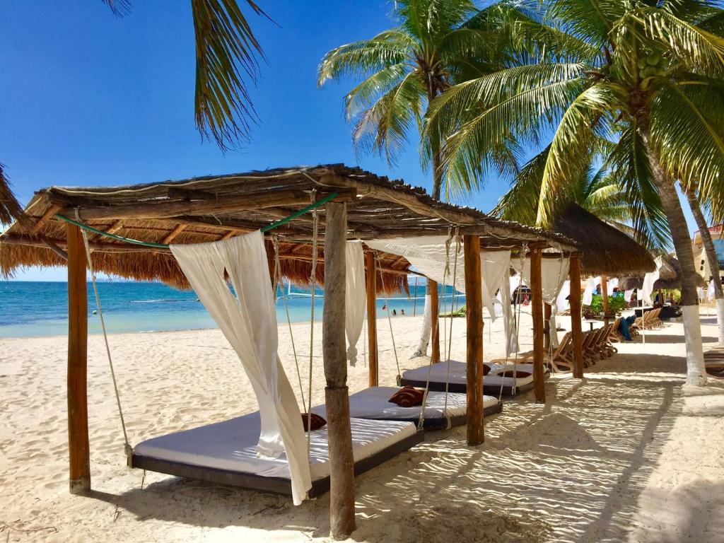 a group of beds on a beach with palm trees at Caribbean apartment in Cancún