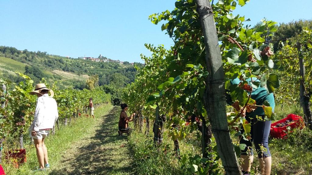 Zahrada ubytování Farmstay Kmetija Štekar