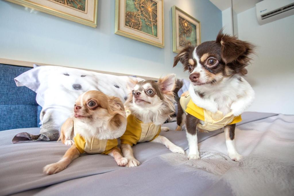 Hill Fresco Hotel - Resim 42