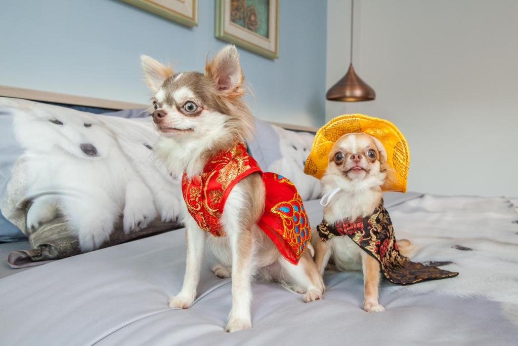 Hill Fresco Hotel - Resim 43