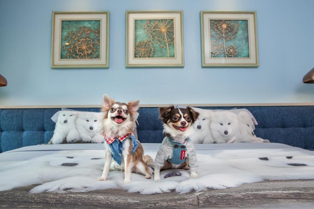 Hill Fresco Hotel - Resim 44