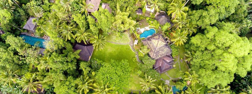 an aerial view of a resort in the jungle at Villa Beji Indah in Ubud