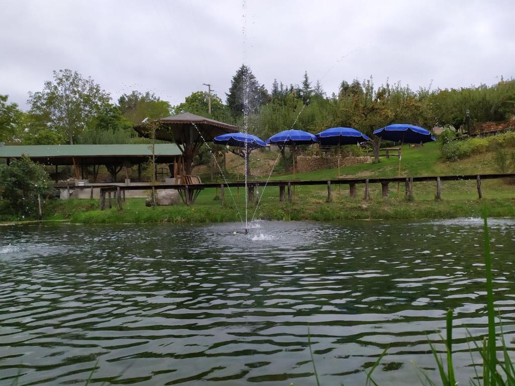Przyroda w pobliżu tego obiektu B&B