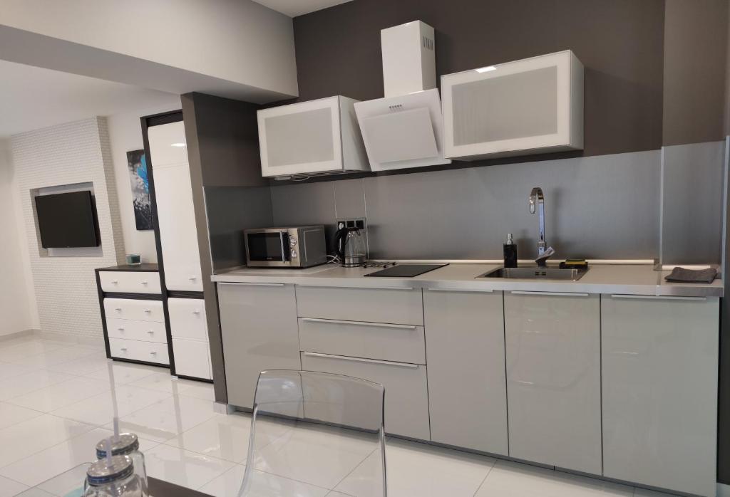 Kuchyň nebo kuchyňský kout v ubytování AQUA SOLAR APARTMANHÁZ