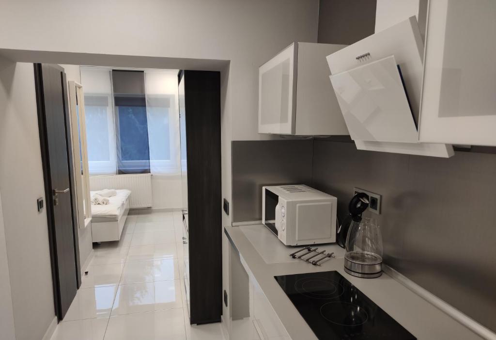 Kuchyň nebo kuchyňský kout v ubytování AQUA SOLAR APARTMANHÁZ
