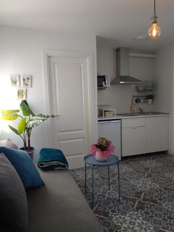 Kuchyň nebo kuchyňský kout v ubytování La casita de Evita