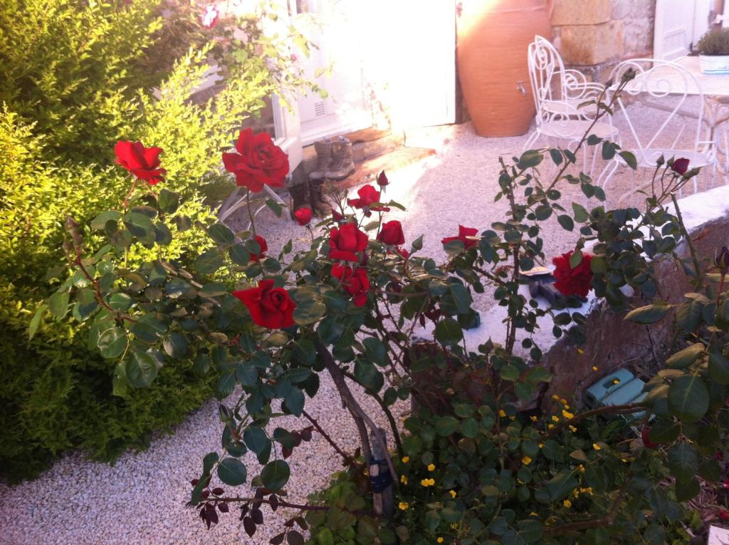 a group of red roses in a garden at L&#39;Ecrin in Villeneuve-sur-Lot