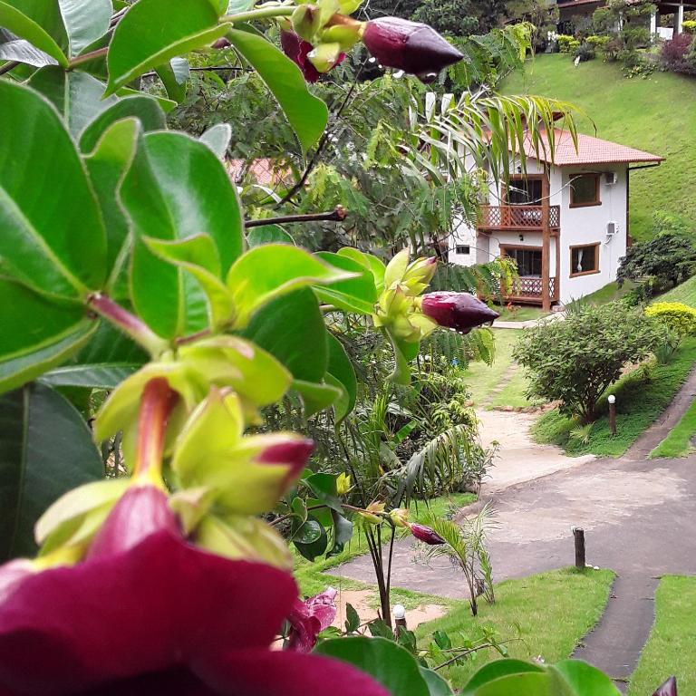  Sitio Da Cachoeirinha Paraju Domingos Martins