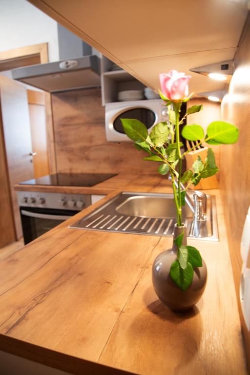 Apartments Marie A - 17