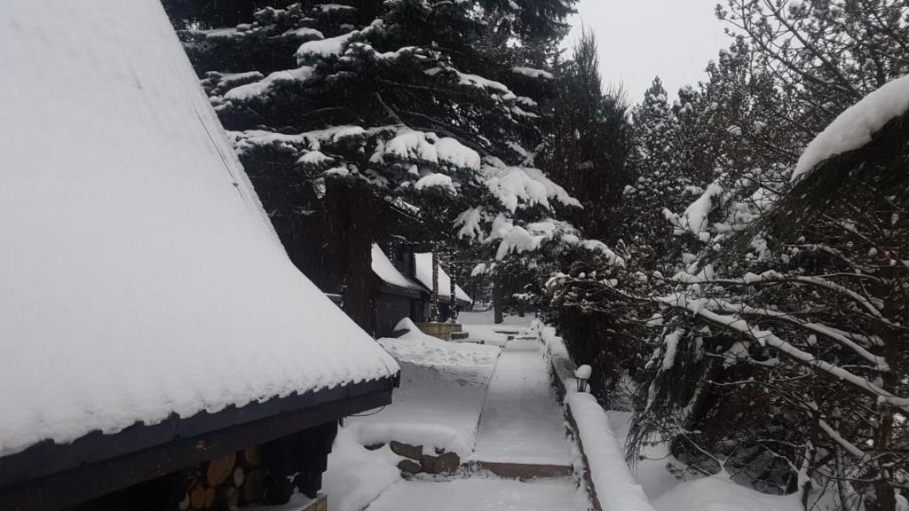 Oliwne Wzgórza v zime