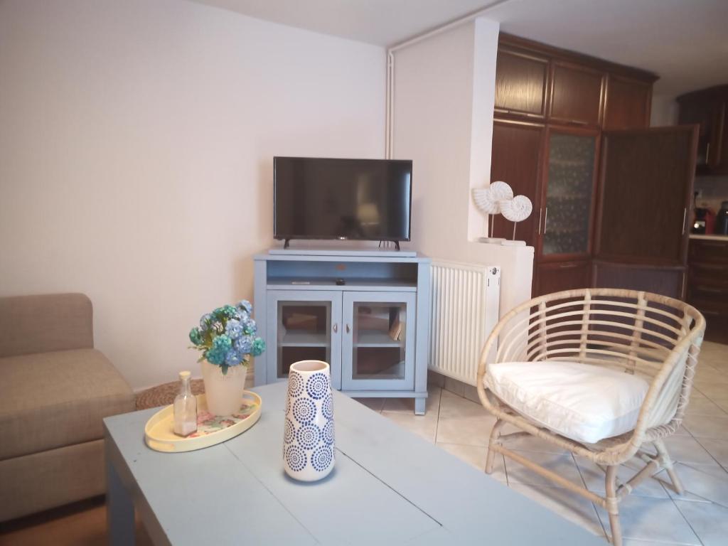 Telewizja i/lub zestaw kina domowego w obiekcie Plateia Apartments (Katerina)