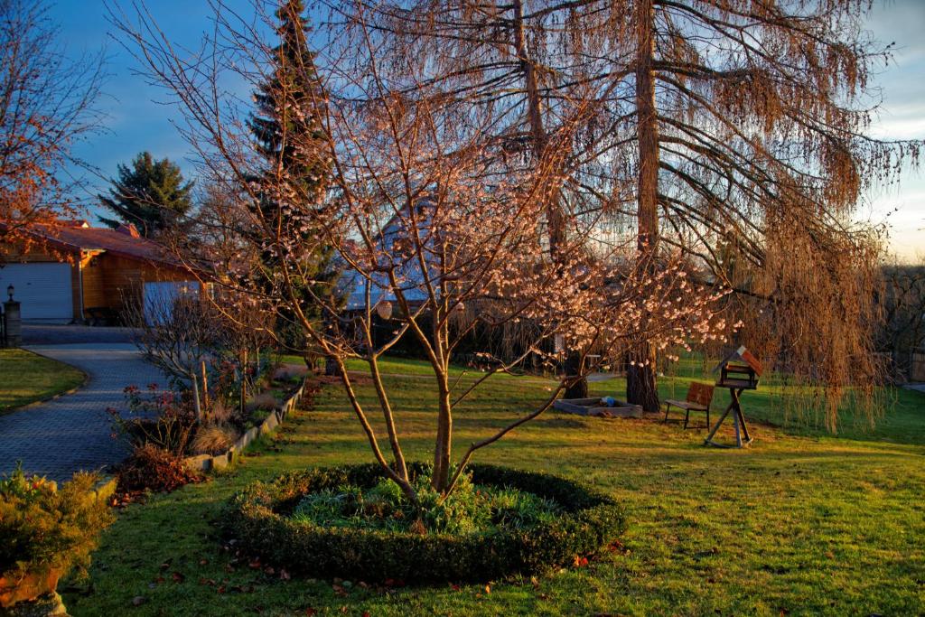 Zahrada ubytování Pension Am Kirschberg
