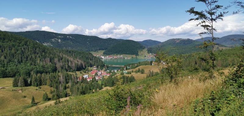 Príroda v okolí chaty v prírode