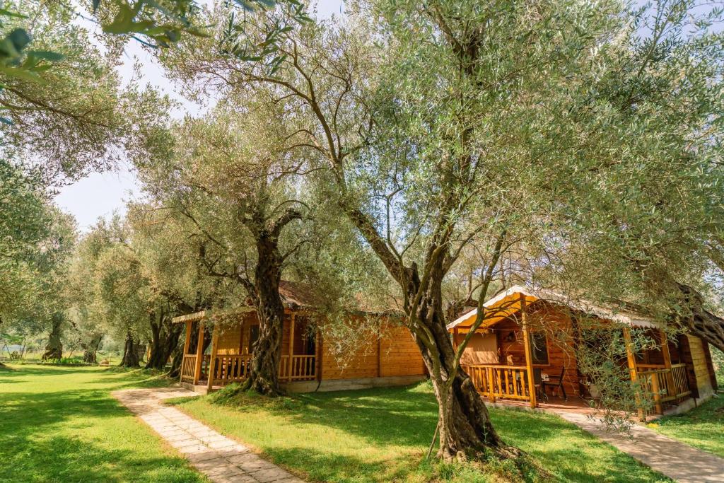 Zahrada ubytování Apartments Aura
