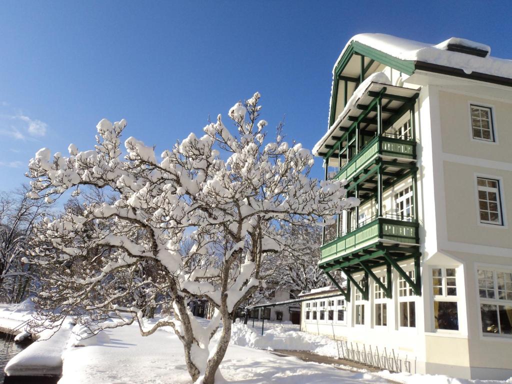 a snow covered tree in front of a building at Hotel & Gasthof Fürberg in Sankt Gilgen