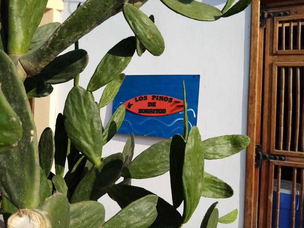 Los Pinos de Zorritos Condominio