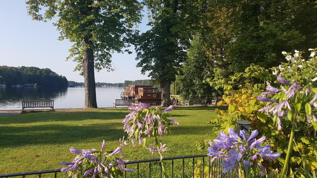 un jardín con flores púrpuras y una valla junto a un lago en Ferienwohnungen auf der Schleusenhalbinsel, en Woltersdorf