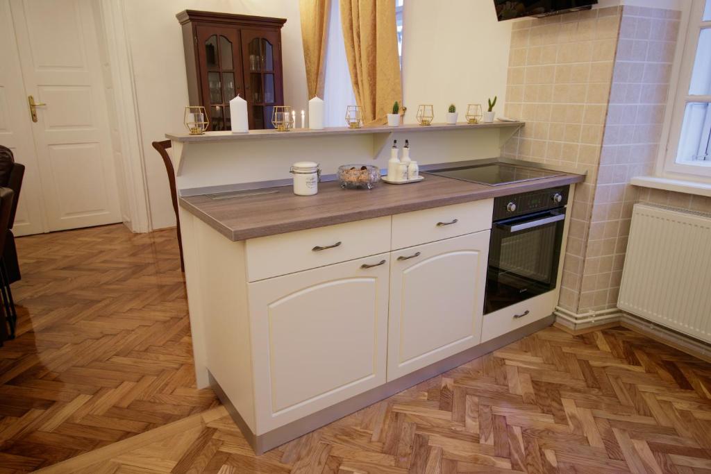 Kuchyň nebo kuchyňský kout v ubytování Little Vienna Gold Apartment