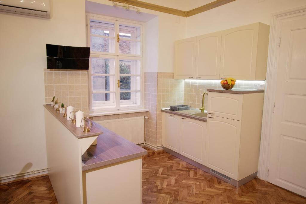 Kuchyň nebo kuchyňský kout v ubytování Little Vienna Gold Apartment
