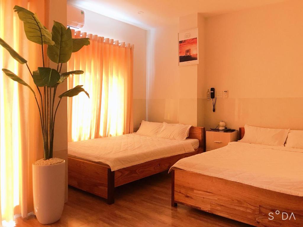 um quarto com duas camas e um vaso de plantas em Life Hotel em Quy Nhon