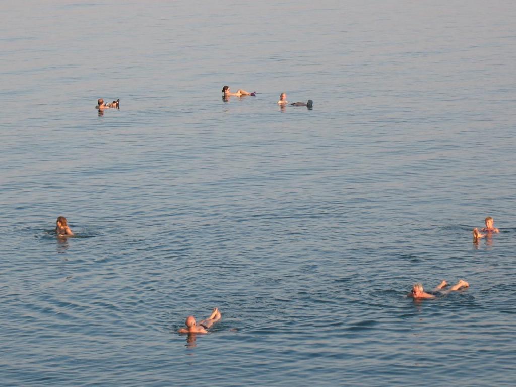 een groep mensen die in het water zwemmen bij NEVE ZOHAR DEAD SEA in Neve Zohar