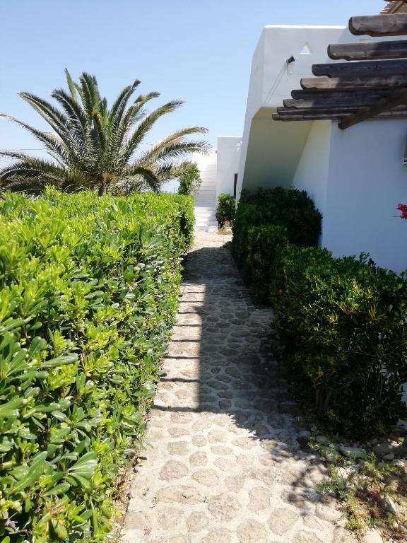 Zahrada ubytování Vina Beach Hotel