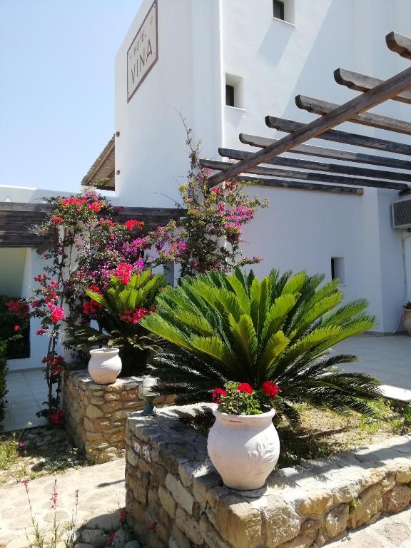 Zahrada ubytování Vina Beach Hotel
